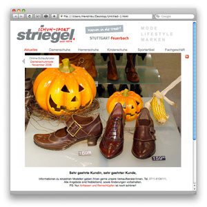 Website „Schuh-Sport-Striegel“