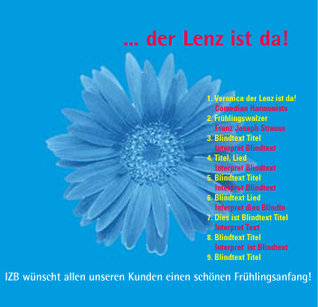 CD Booklet für Kunde Informatik-Zentrum Bayern