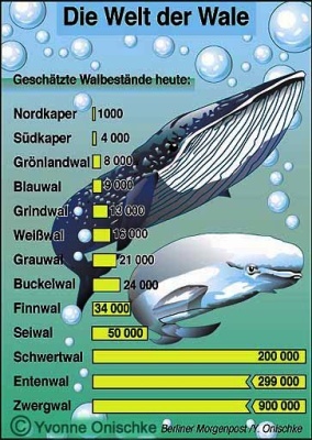 Walbestände 1996