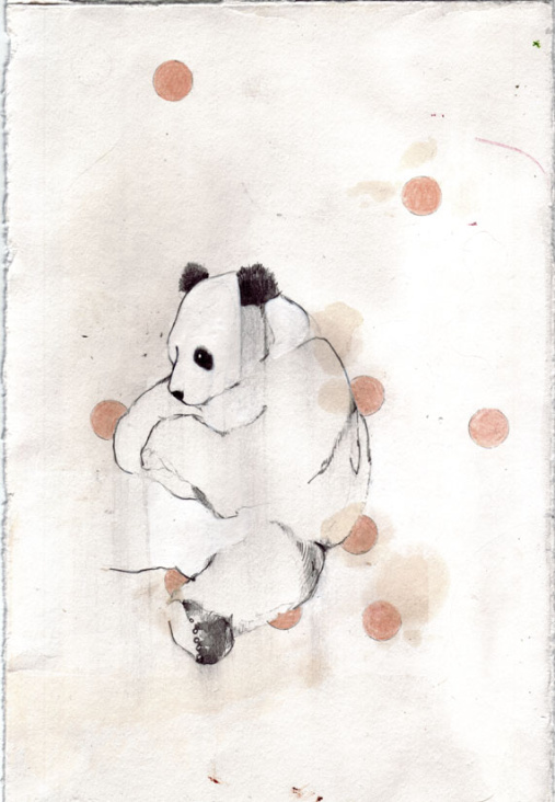 Panda (2006)