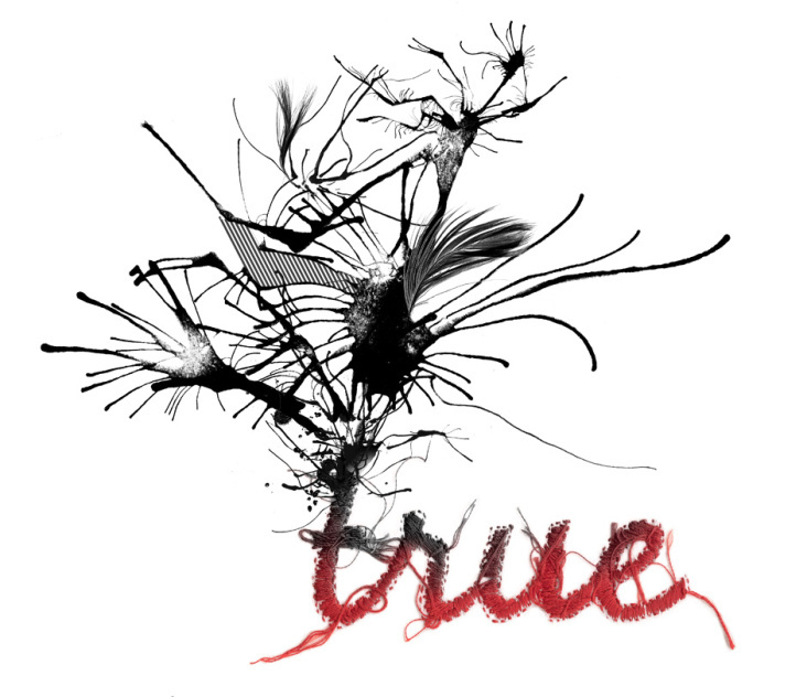 Illustration True/False – Stickerei und Tinte