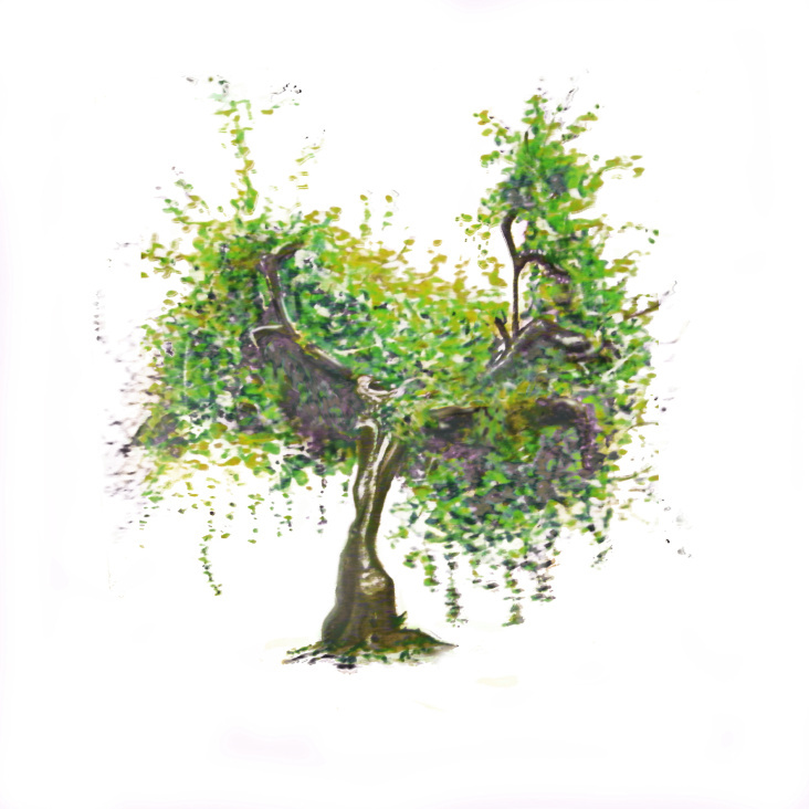 Aquarell „Olivenbaum“
