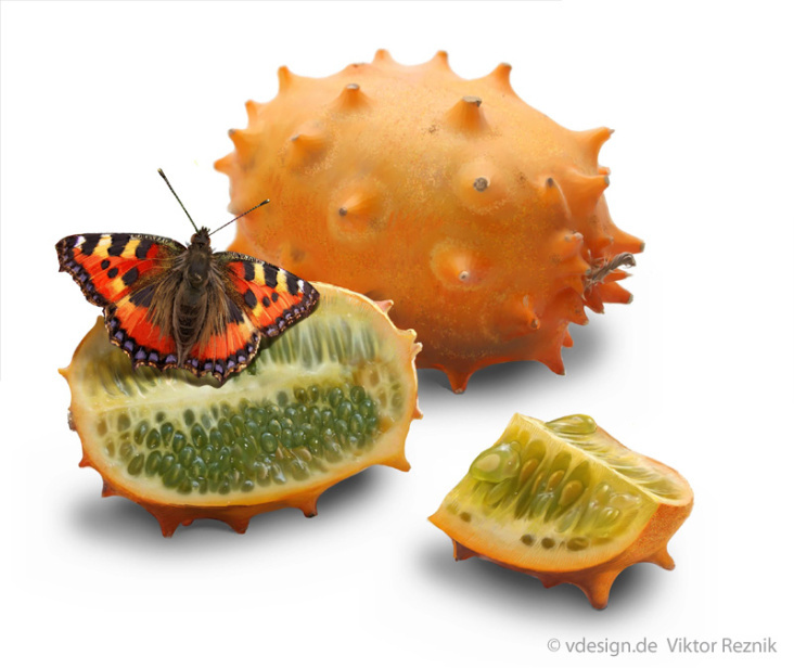 Kiwano, Illustration, Food, Verpackung