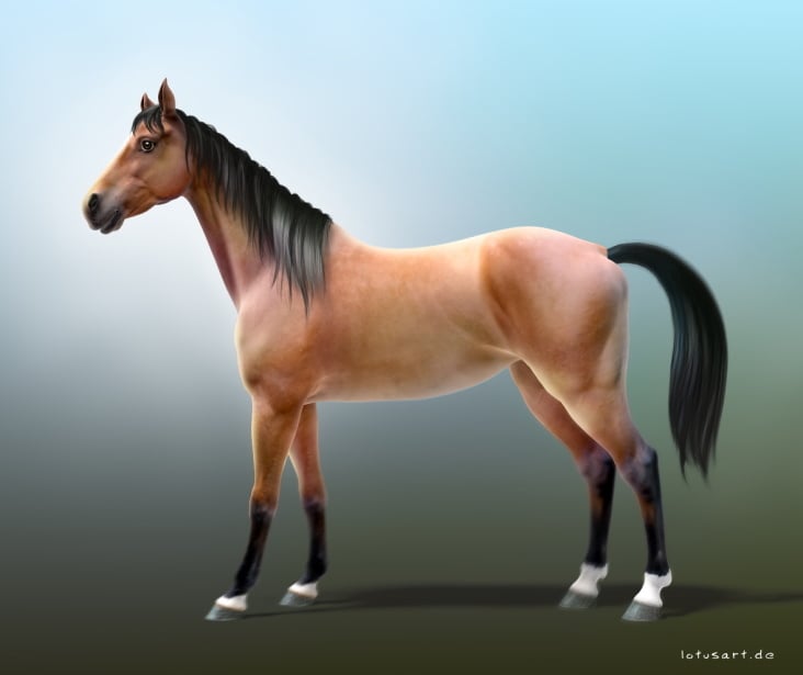 „Horse“ 3D Character for Game