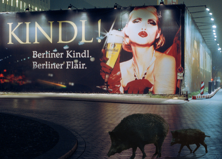 Wildtiere in der Berlin