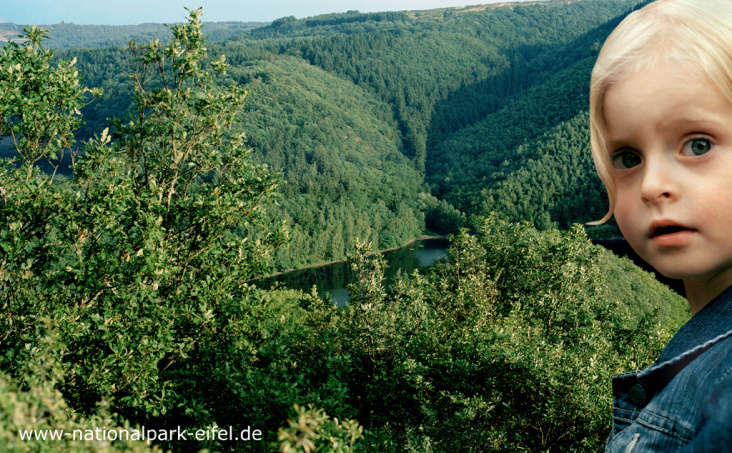 Nationalpark Eifel