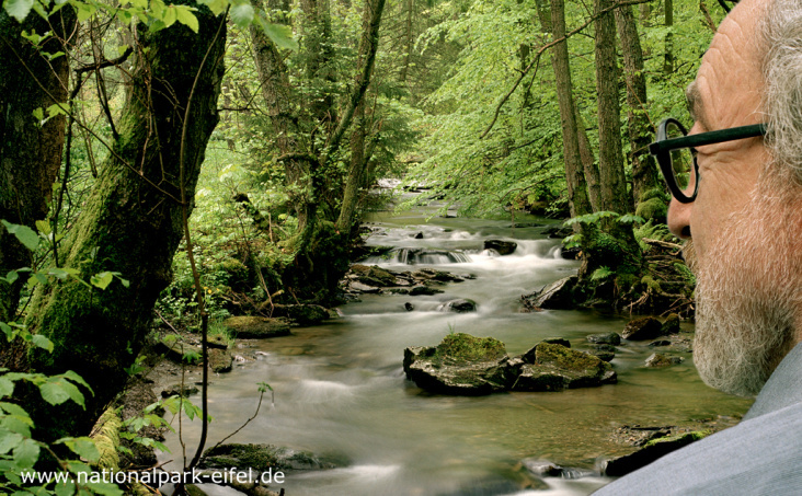 Nationalpark Eifel