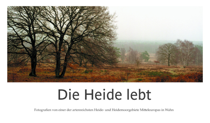 Die Heide lebt