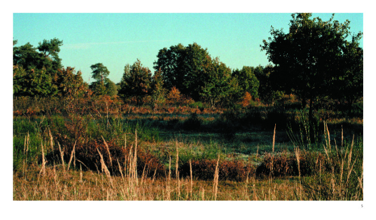 Die Heide lebt