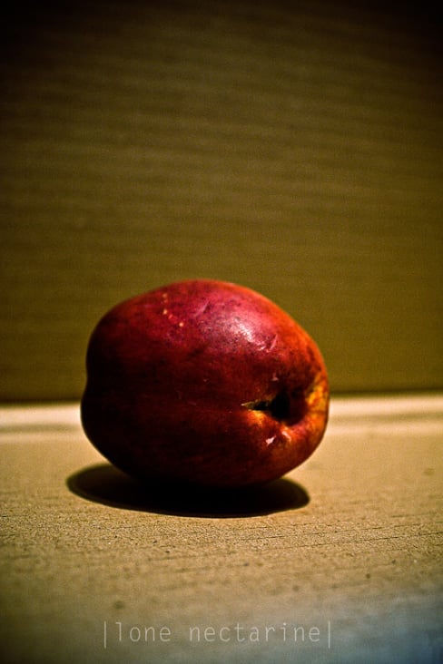 lonely nectarine