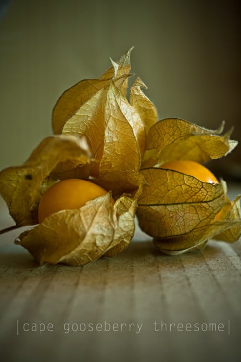 cape gooseberry threesome