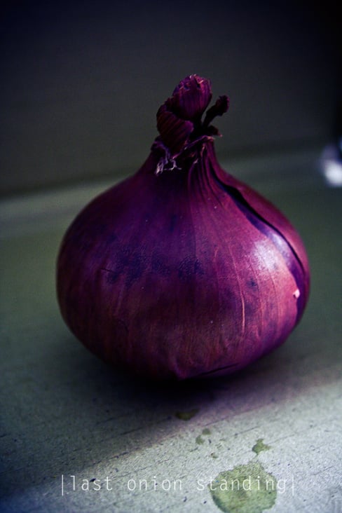 last onion standing