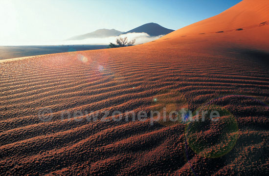 WUESTE-Namib