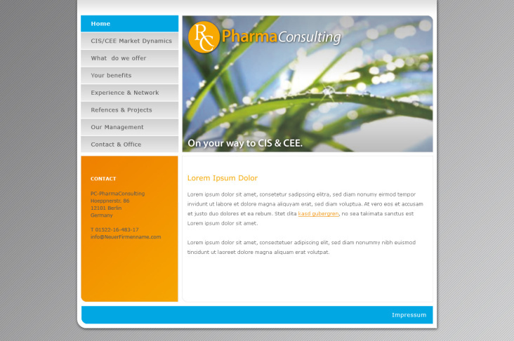 PS Template Design Pharma Consulting