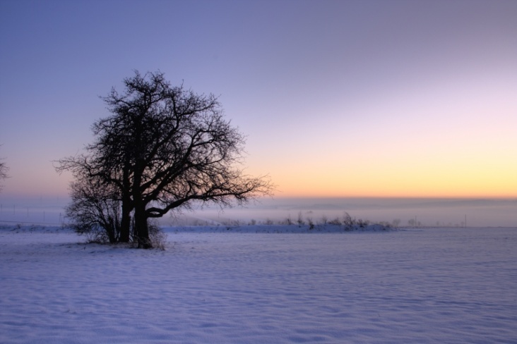 Abendliche Winterstimmung