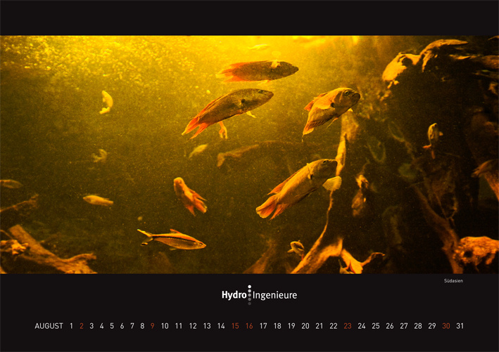 august