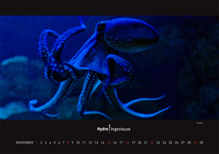 november