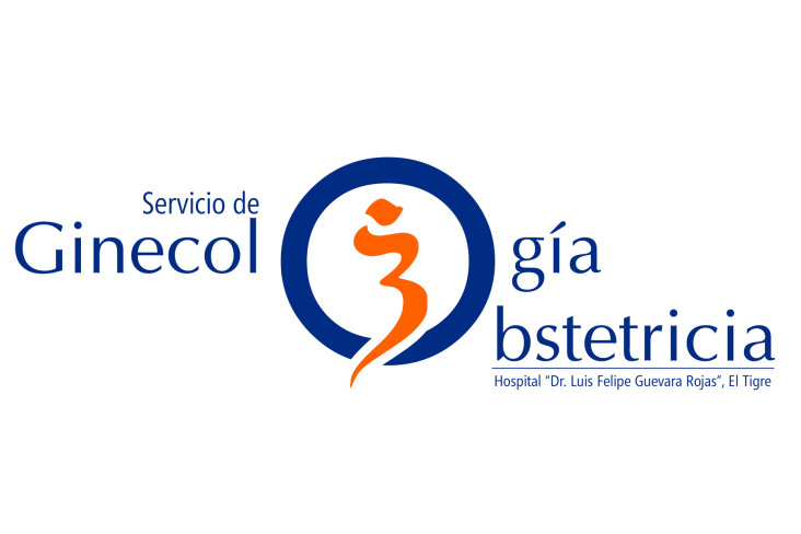 Logo Gynekologie – Obsterie fuer lokales Krankenhaus in Venezuela