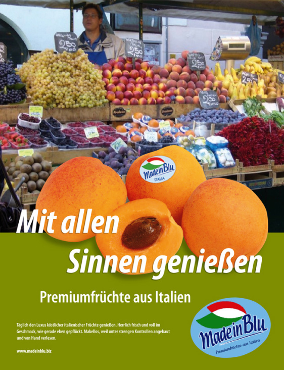 Konzept Markt Anzeige2