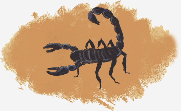 „Scorpion“ Sternzeichen, (Aquarell, Tempera, Buntstift)