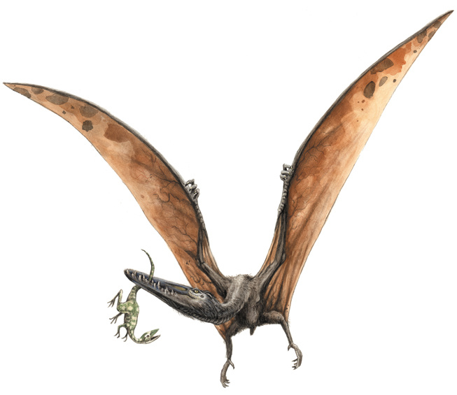 Pterodactyl