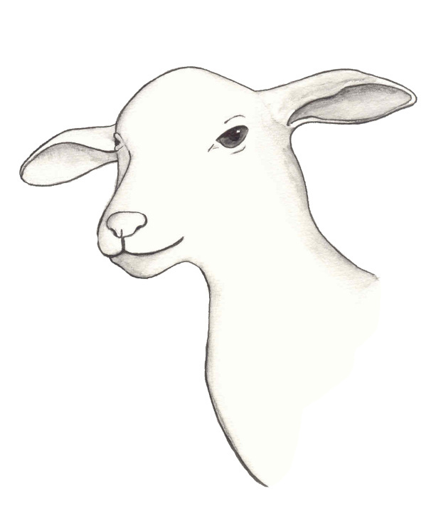 Chinesische Tierkreiszeichen