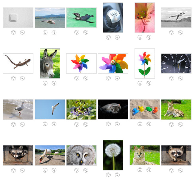 Portfolio Shutterstock