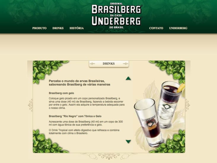 Design für die Brasilberg Brandsite