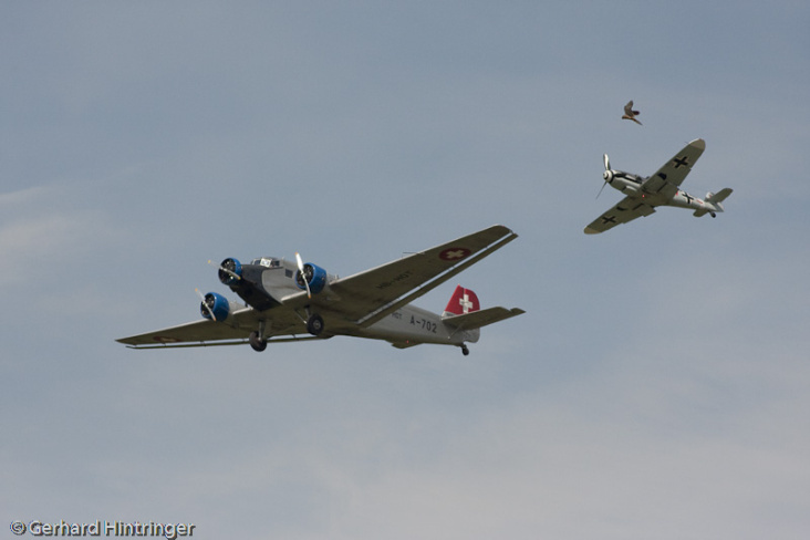 Flugshow – mit Vogel … Weiße Möwe Wels 2009