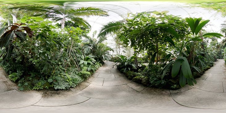 360° Panos – Botanischer Garten