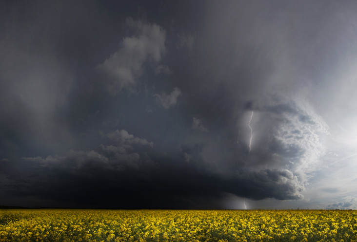 Gewitterfront über den endlosen Rapsfeldern des Zabergäu, Frühjahr 2009