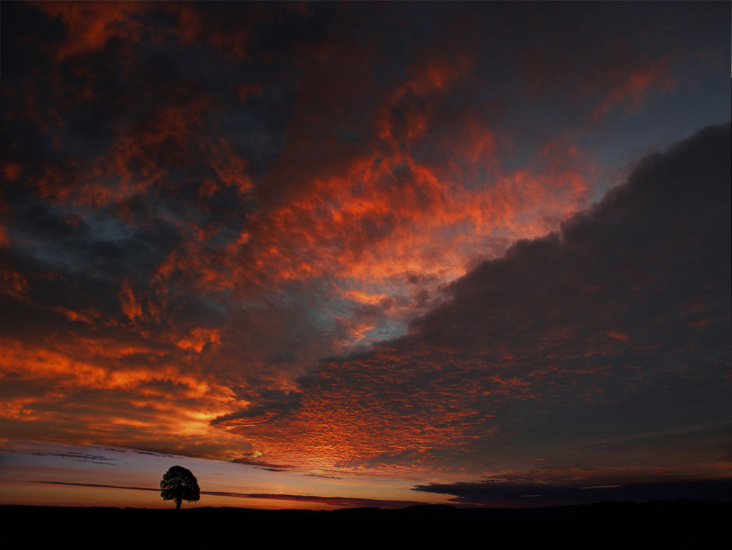 Morgenrot an der Linde 02