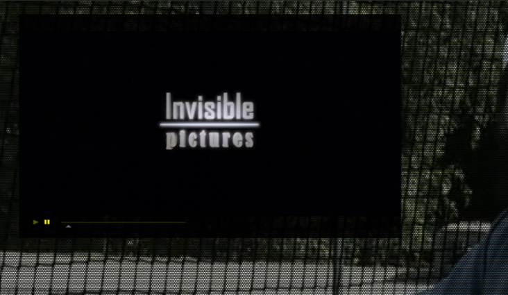 invisiblepictures