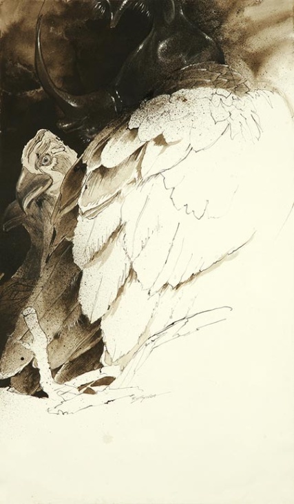 Vulture, 100 × 60 cm, Tusche