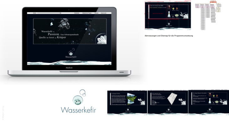 Webdesign: Wasserkefir (2007)