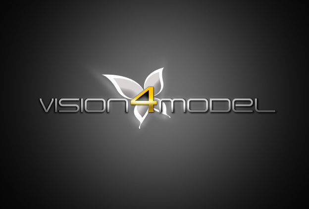 vision4model