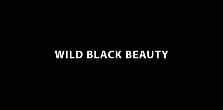 WILD BLACK BEAUTY