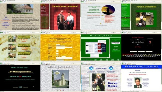 Eine Auswahl gestalteter Internetseiten …