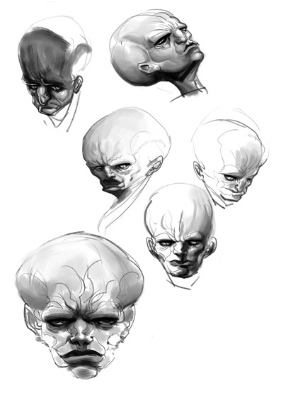 heads