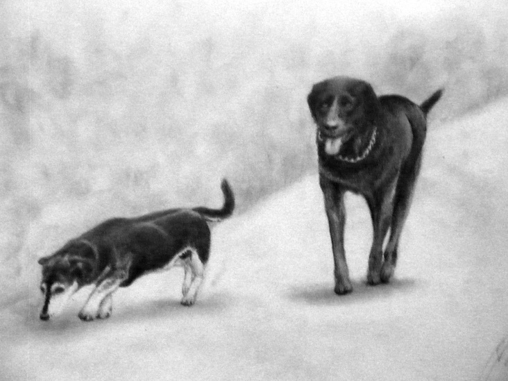 zwei Hunde 2010, Bleistift Papier A4, 10€