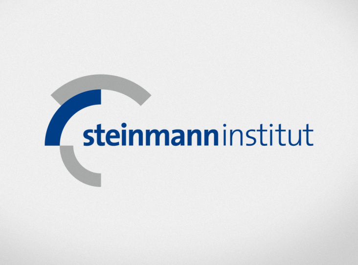 Logo für das Steinmann Institut für Geologie an der Universität Bonn