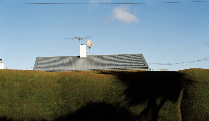 Oamaru Hedge: Exceeds 100 years of age, 2005