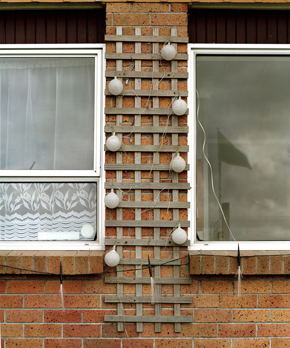 Square Lattice Trellis, Huntly, 2008