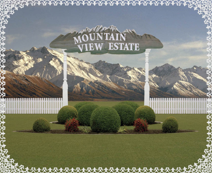The Condition: Mountain View Estate, 2008