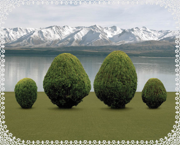 Mountain View Estate (Tree Row), 2008