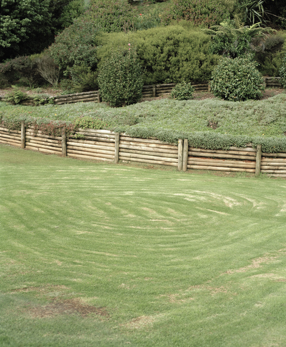 Lawn (Matakana), 2008