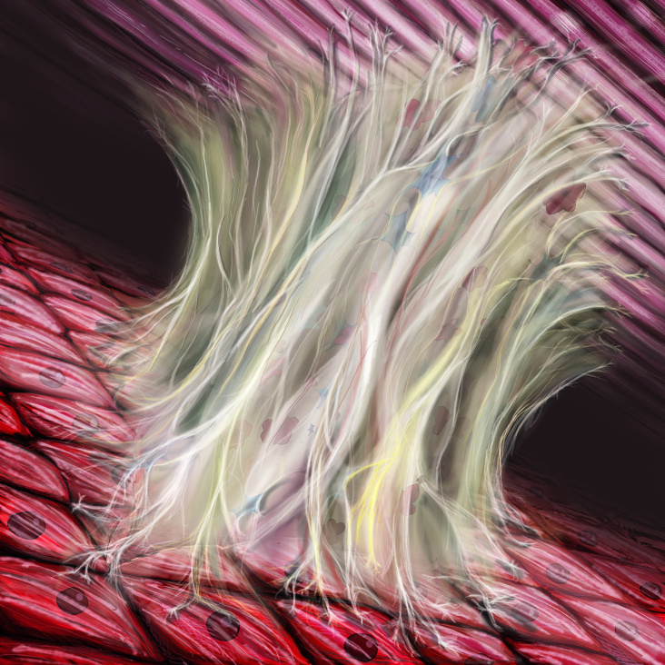 Medizinische Illustration