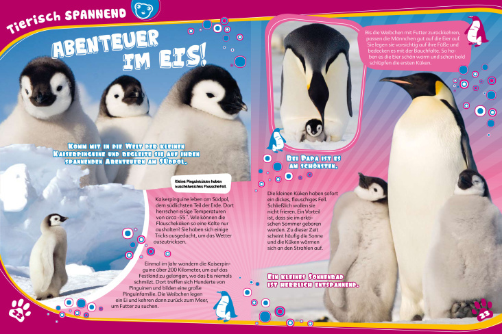 „Tierisch Süß Magazin“ – Pinguine