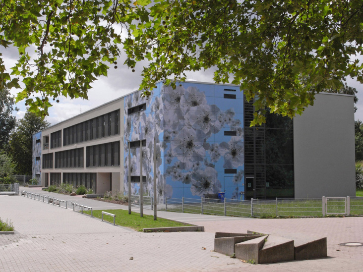 Kirschblüten – Käthe Kollwitz Schule Mannheim, 2007