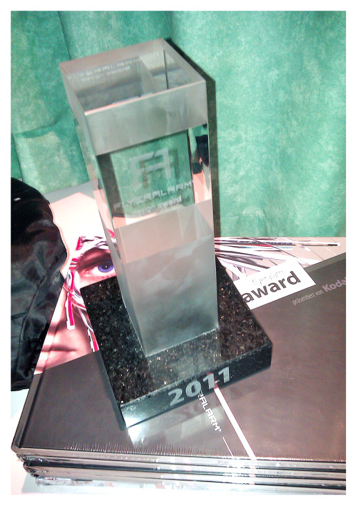 Flyeralarm Design Award Trophy 2011